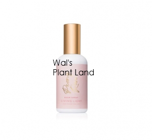 PEONY ROSE ROOM SPRAY LIVING LIGHT