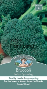 BROCCOLI ITALIAN SPROUTING SEED PACKET