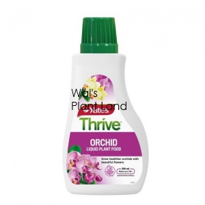 THRIVE LIQUID ORCHID FOOD 500ML