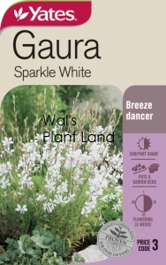 GAURA SPARKLE WHITE NZ SEED PACKET