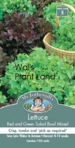 LETTUCE RED & GREEN SALAD BOWL SEED PACKET