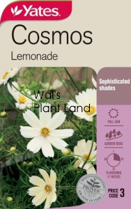 COSMOS LEMONADE SEED PACKET