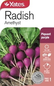 RADISH AMETHYST NZ SEED PACKET