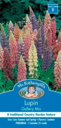 LUPIN GALLERY MIX SEED PACKET