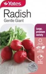 RADISH GENTLE GIANT SEED PACKET