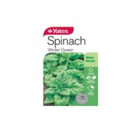 SPINACH WINTER QUEEN SEED PACKET