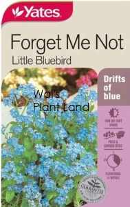 FORGET ME NOT LITTLE BLUEBIRD SEED PACKET