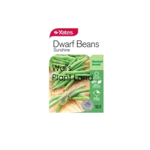 BEAN DWARF SUNSHINE SEED PACKET