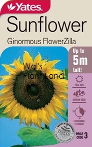 SUNFLOWER FLOWERZILLA SEED PACKET