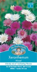 XERANTHEMUM AUSTRALIAN STRAWFLOWER SEED PACKET