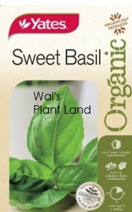 ORGANIC SWEET BASIL SEED PACKET