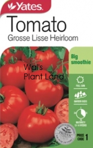 TOMATO GROSSE LISSE NZ SEED PACKET