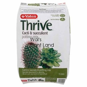 THRIVE CACTI & SUCCULENT MIX15L