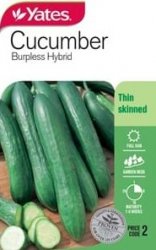 CUCUMBER BURPLESS SEED PACKET