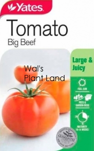 TOMATO BIG BEEF NZ SEED PACKET