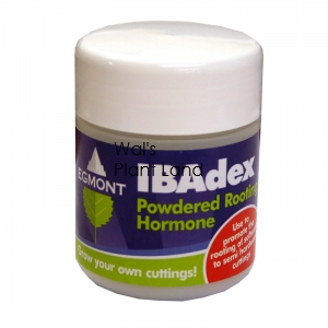 IBADEX 25G POWDERED ROOTING HORMONE