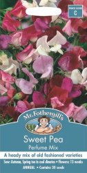 SWEET PEA PERFUME MIXED SEED PACKET