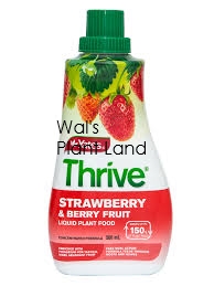 THRIVE LIQUID CONCENTRATE STRAWBERRY 500ML