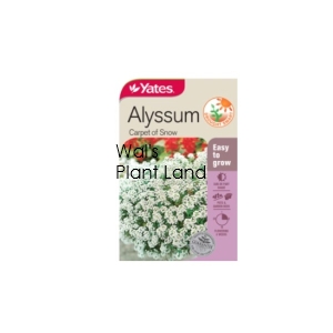 ALYSSUM CARPET OF SNOW SEED PACKET