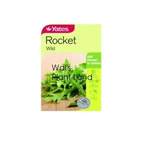 ROCKET WILD SEED PACKET