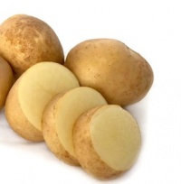 POTATOES SEED HAYLO 3KG BAG