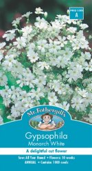 GYPSOPHILA MONARCH WHITE SEED PACKET