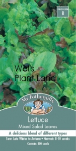 LETTUCE MIXED SALAD LEAVES SEED PACKET