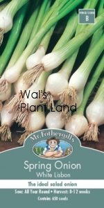 SPRING ONION WHITE LISBON SEED PACKET