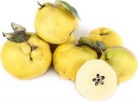 QUINCE PINEAPPLE