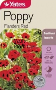 POPPY FLANDERS RED SEED PACKET