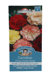 CARNATION CHOICE DOUBLE MIXED