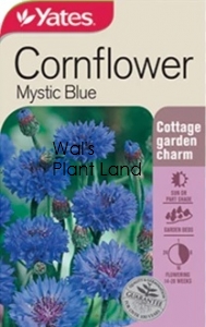 CORNFLOWER BLUE SEED PACKET