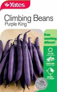 BEANS CLIMB PURPLE KING NZ SEED PACKET