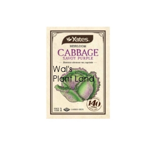 HEIRLOOM CABBAGE SAVOY PURPLE SEED PACKET