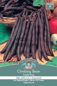 CLIMBING BEAN PURPLE KING SEED PACKET