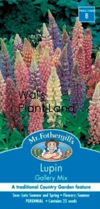 LUPIN GALLERY MIX SEED PACKET