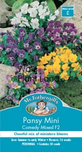 PANSY MINI COMEDY SEED PACKET