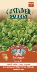 SPINACH LAZIO CONTAINER GARDEN SEED PACKET