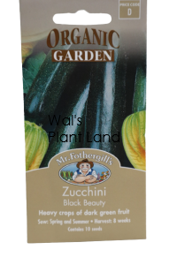 ZUCCHINI BLACK ORGANIC