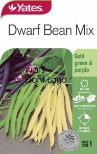 BEAN DWARF MIX SEED PACKET