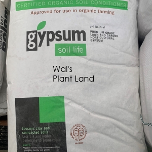 GYPSUM 25KG