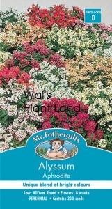 ALYSSUM APHRODITE SEED PACKET