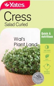 CRESS SALAD CURLED SEED PACKET