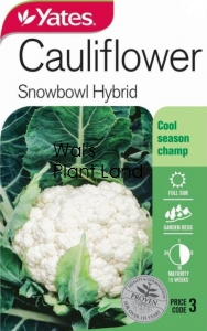 CAULIFLOWER SNOWBOWL SEED PACKET