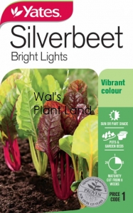 SILVERVEET BRIGHT LIGHTS SEED PACKET