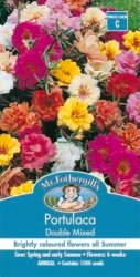 PORTULACA DOUBLE MIXED SEED PACKET