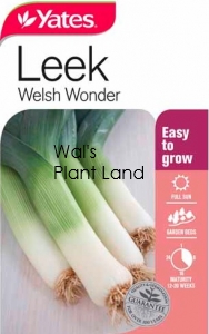 LEEK WELSH WONDER SEED PACKET