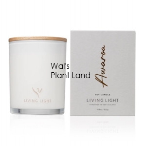 AWAROA SOY CANDLE LARGE LIVING LIGHT