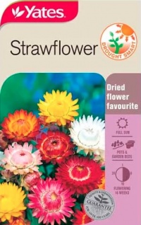 STRAWFLOWER NZ SEED PACKET