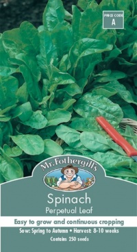 SPINACH PERPETUAL LEAF SEED PACKET